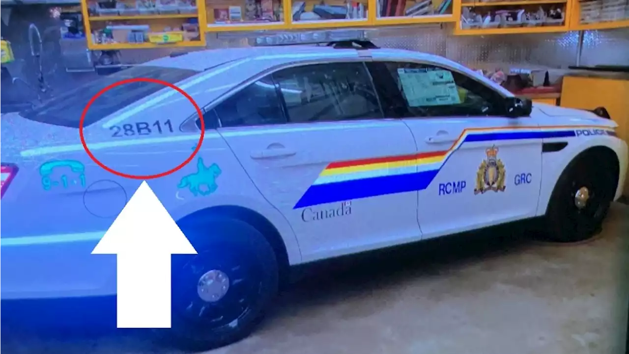 Issuing alert about N.S. gunman would have led to more dead police: RCMP official