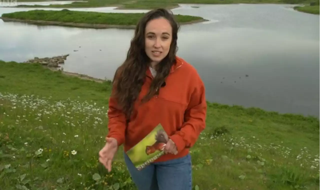 Springwatch backlash as fans fume at Megan McCubbin's 'shag' innuendo 'It's 8.15!'