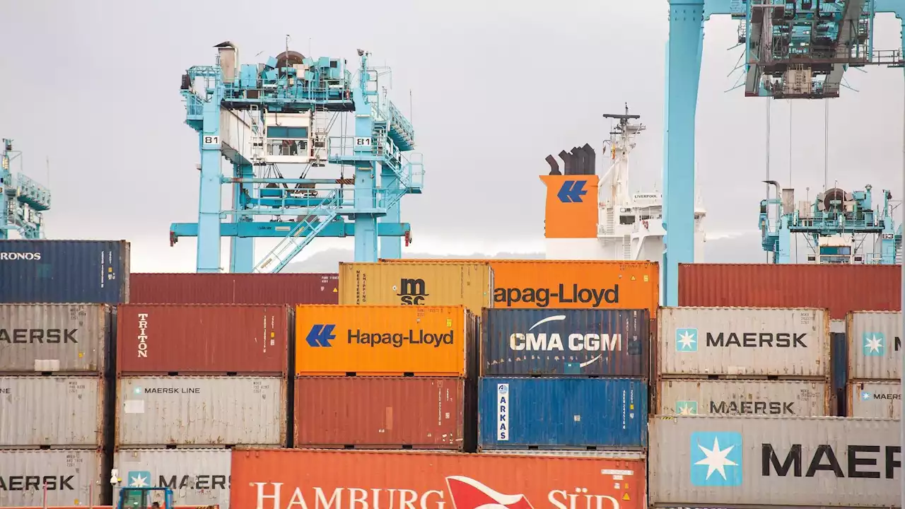 Internationaler Handel - Containerschiffe stauen sich auch an den Nordsee-Häfen