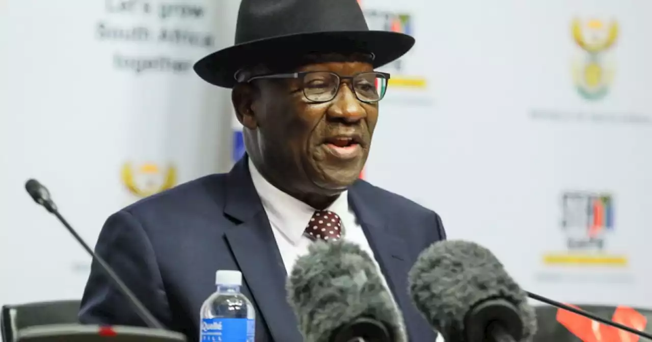 Ramaphosa Farm Theft | Give police space to investigate: Cele