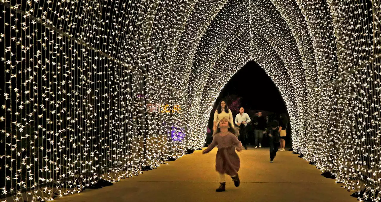 ‘Lightscape’ returning to S.A. this winter