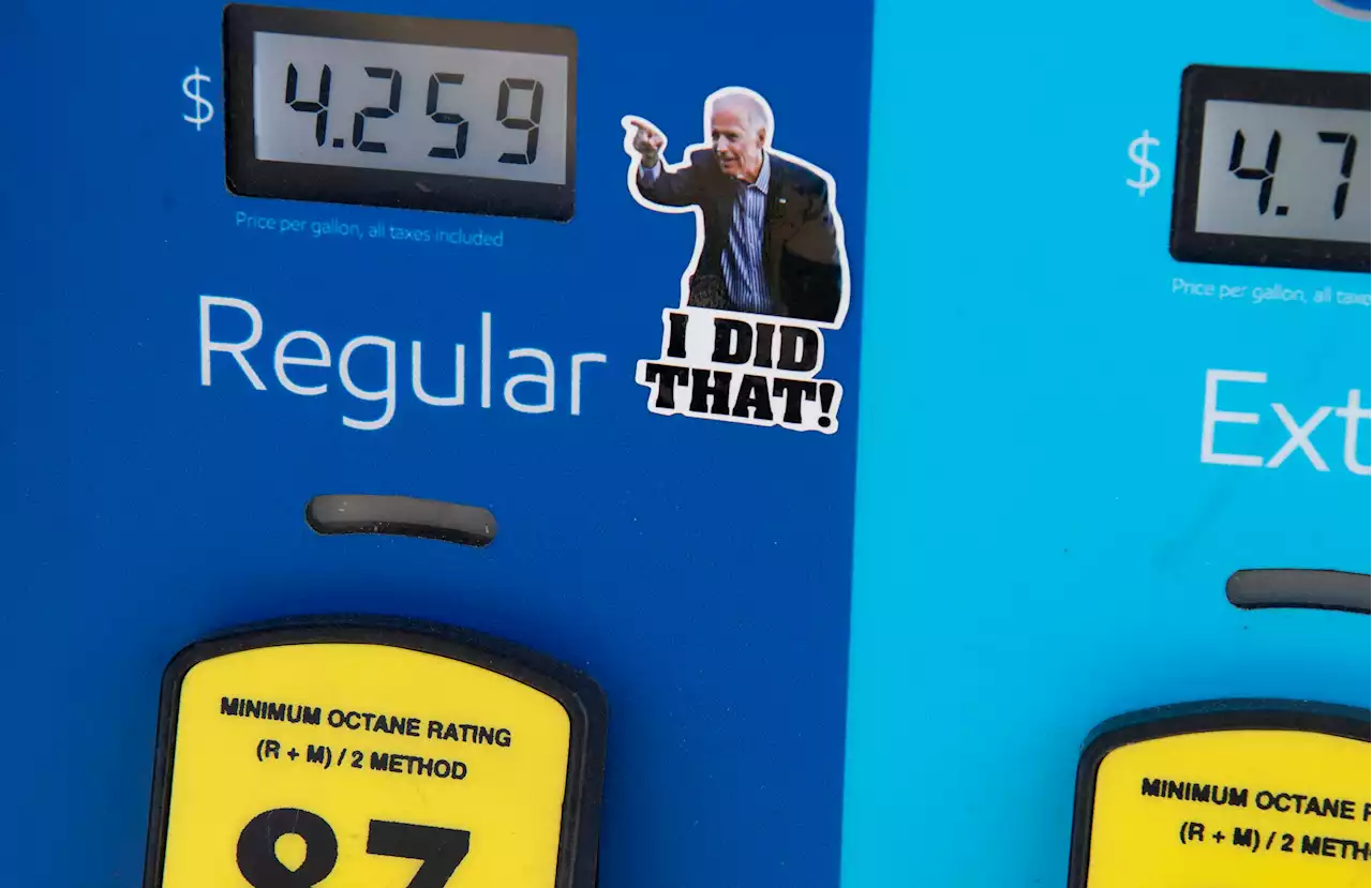 Gas prices are result of Biden's policies, ‘self-inflicted wounds': Economist Steve Moore