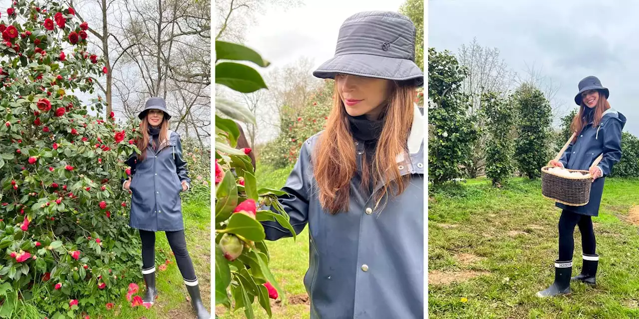 See Inside the Chanel Farm Where Camellias Are Harvested for Skincare