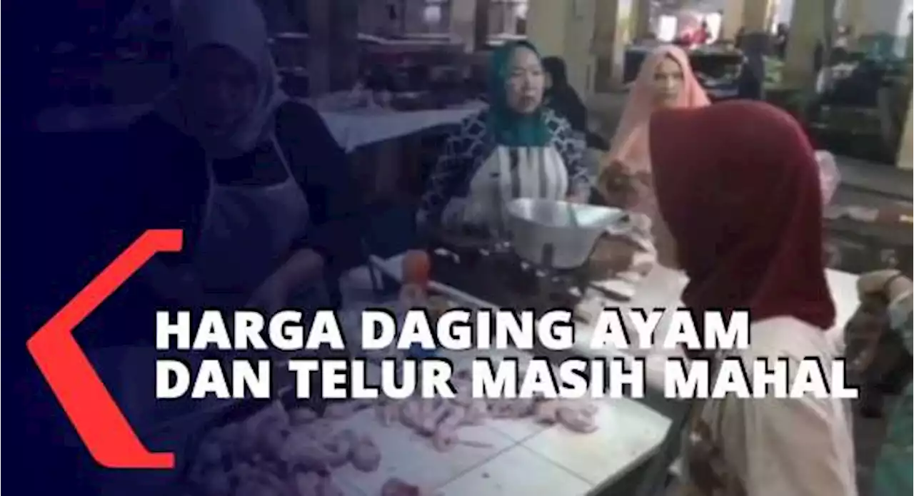 Harga Daging Ayam dan Telur Belum Juga Turun