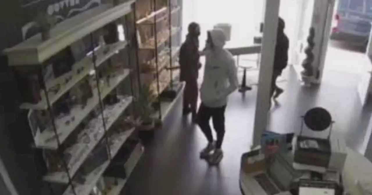 'It's unbearable': Robbers steal $40K worth of designer glasses from San Francisco Mission District store