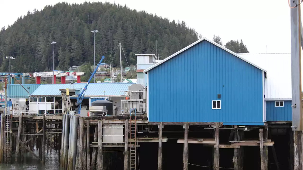 Amid poor chum runs, Trident’s Wrangell plant will stay shuttered for a third year