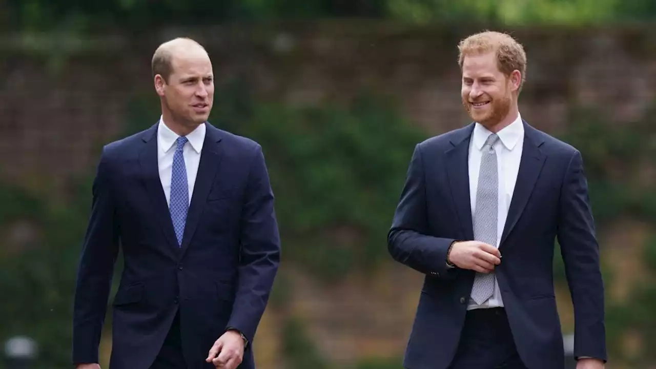 Prince William 'Is Still Wary of Spending Any Time Alone With' Prince Harry, Royal Source Says