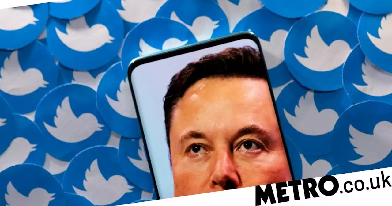 Texas to investigate Twitter over Elon Musk's bot claims