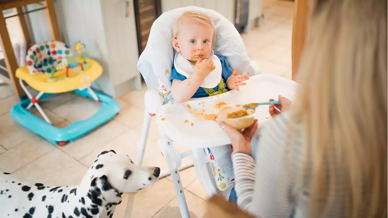 How to clean a high chair