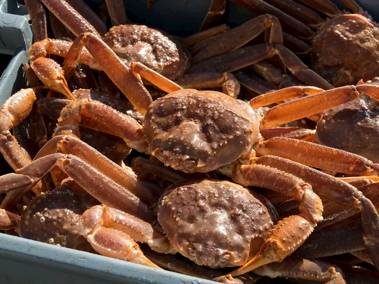 Canadian exports edge up in April on seafood and motor vehicles