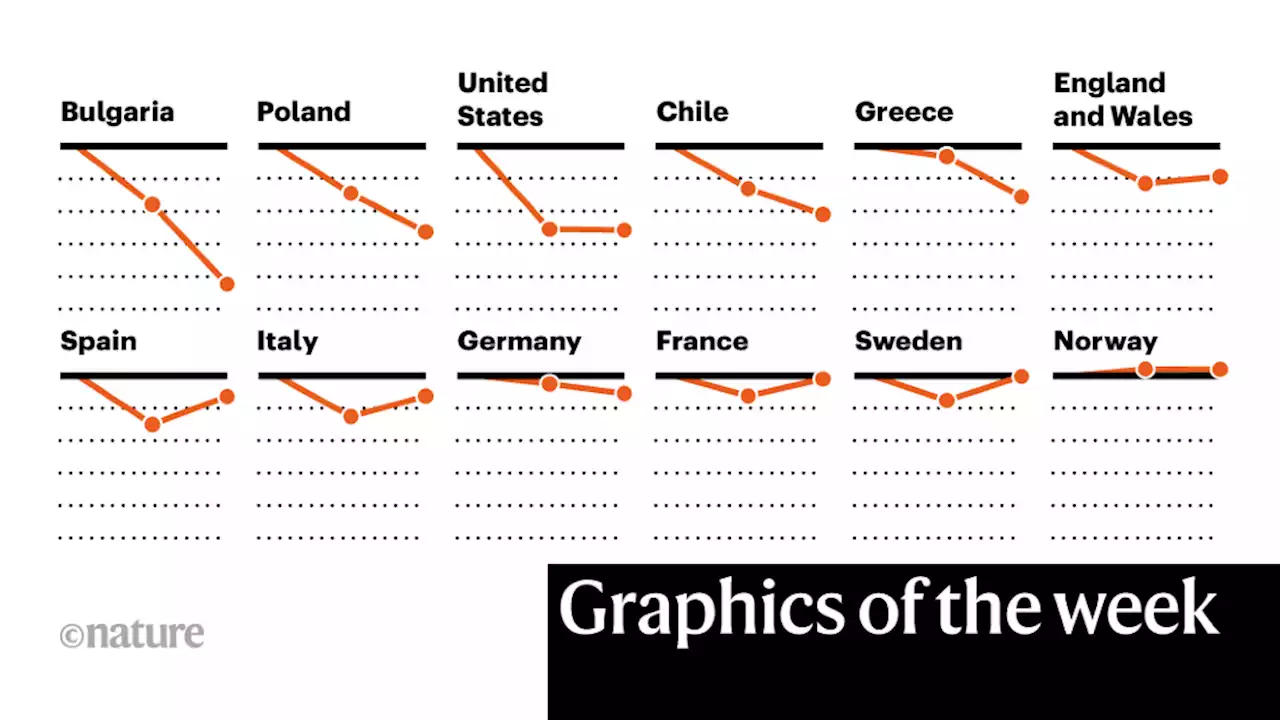 Flying salamanders, falling lifespans — the week in infographics