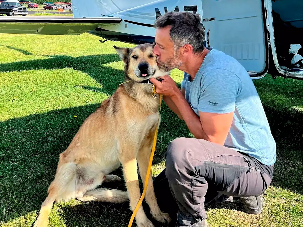 Sled dog found 120 miles away from where he was last seen, 3 months later