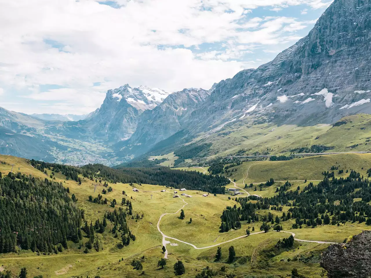 Climate change is turning the snowy white Alps green