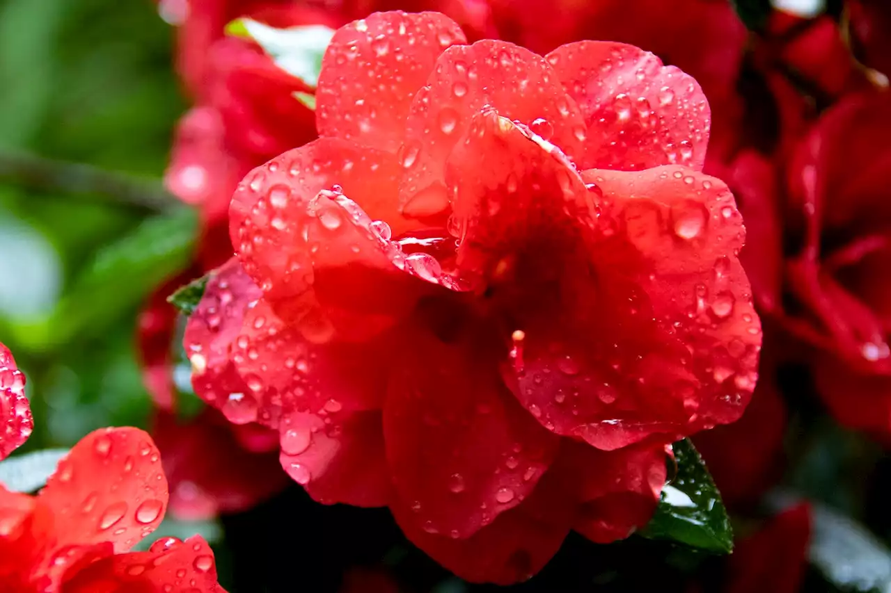 D.C.-area forecast: Clouds build with showers and storms tonight into Wednesday