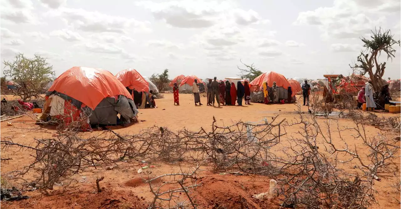 Famine risk rises in Somalia as rains fail, food prices soar - U.N.