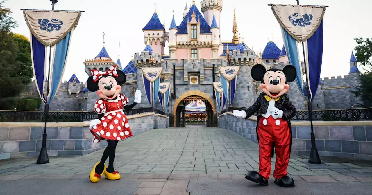 Internet loses its mind over couple who said they had Minnie, Mickey at wedding instead of food