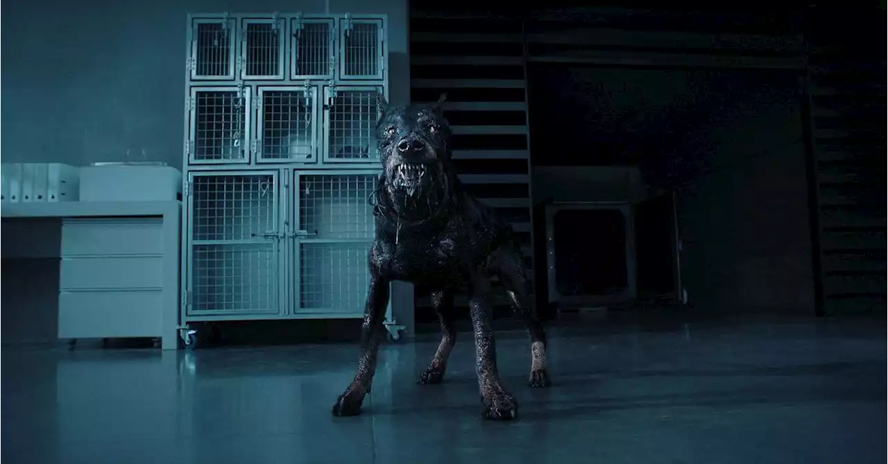 Netflix’s Resident Evil unleashes the demon dog in latest trailer