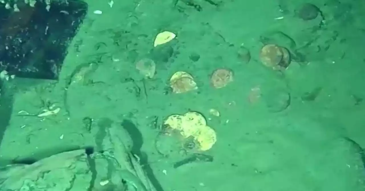 New video shows gold coins and treasure from 'holy grail' of shipwrecks