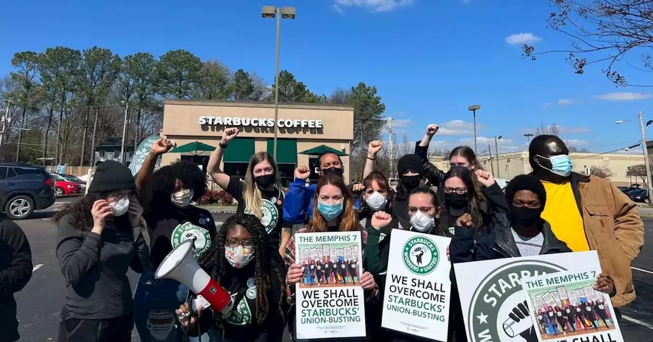 Anti-Labor Starbucks 'Getting Wrecked' as Memphis Workers Win Latest Union Drive