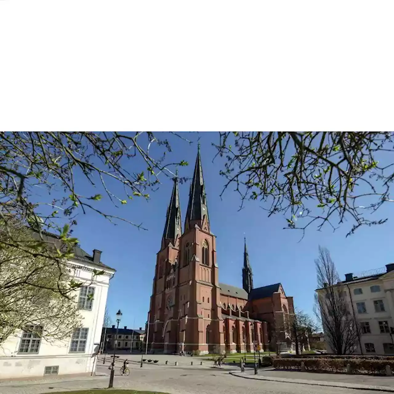 Svenska kyrkan väljer ny ärkebiskop