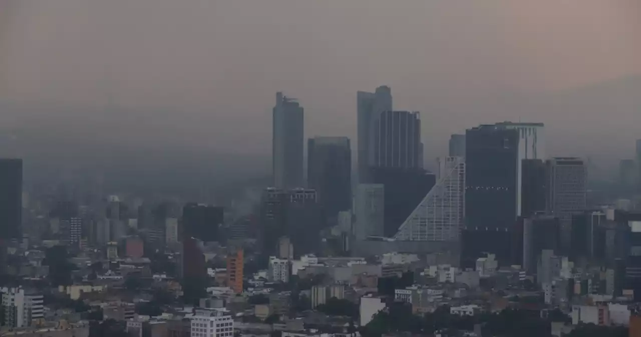 ¿Qué vehículos no circulan el miércoles 8 de junio por contingencia ambiental en la CDMX?