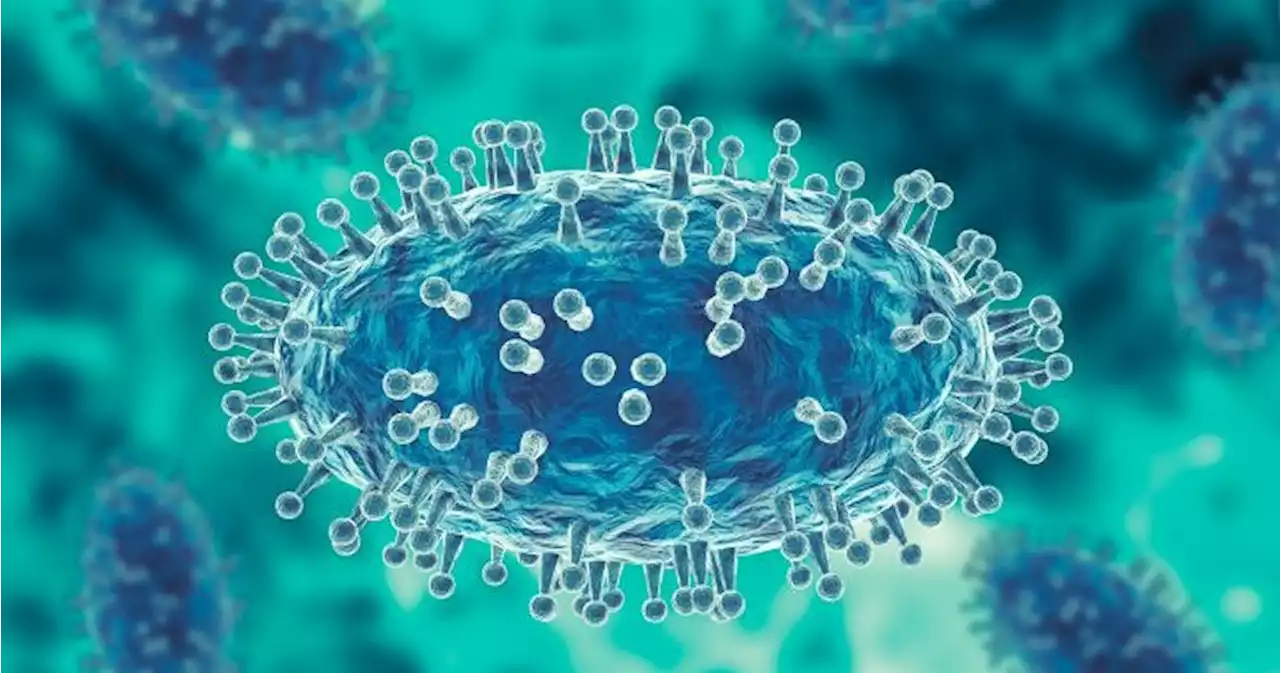 ‘Anyone can get monkeypox’: experts emphasize science-first messaging | Globalnews.ca