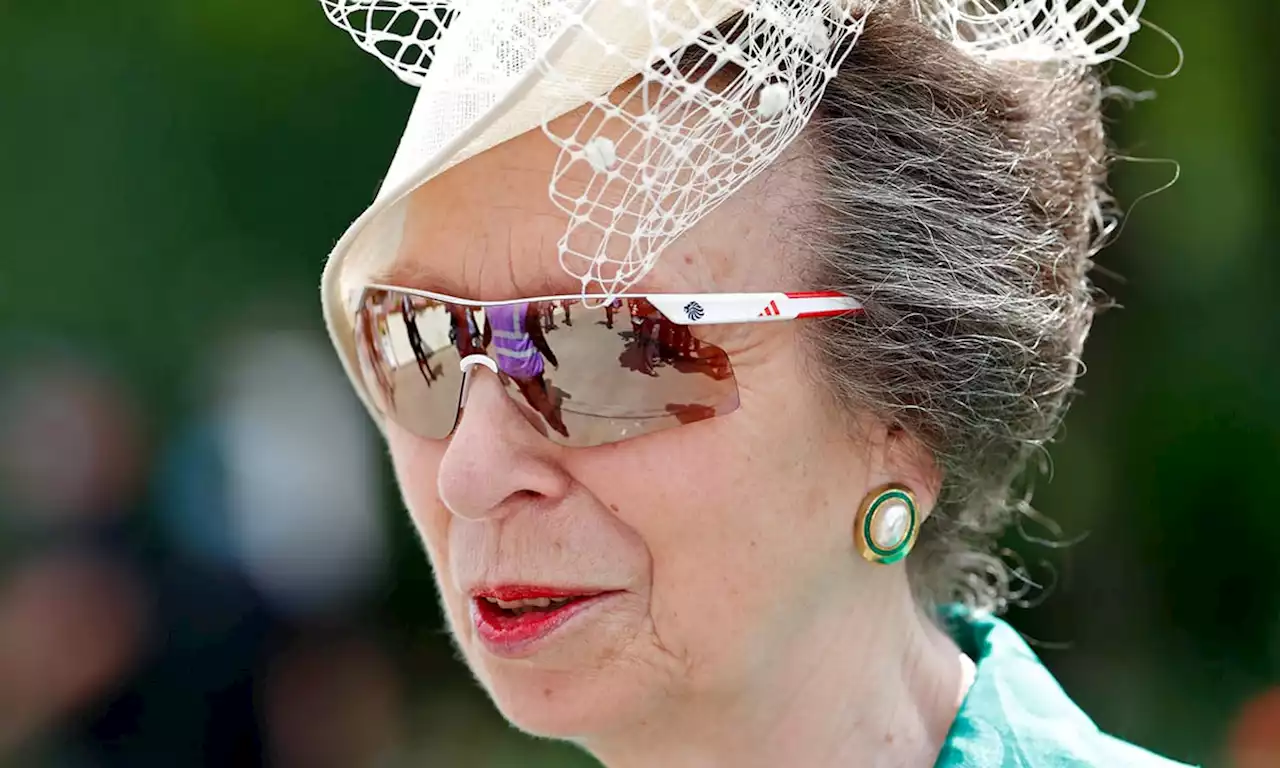 Princess Anne stuns in full suit for poignant event – see photos