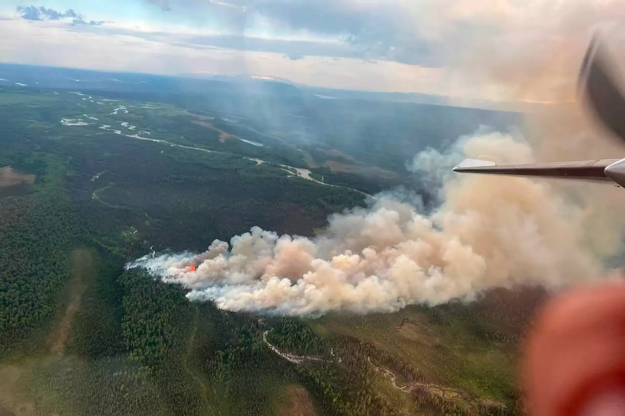 Damage Estimates Climb From Massive New Mexico Wildfire