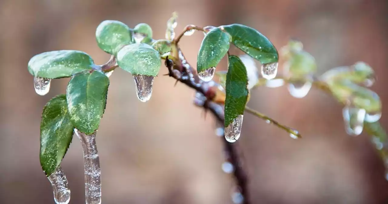 Invierno 2022: qué provincias tendrán temperaturas inferiores a las normales | Ciudadanos | La Voz del Interior