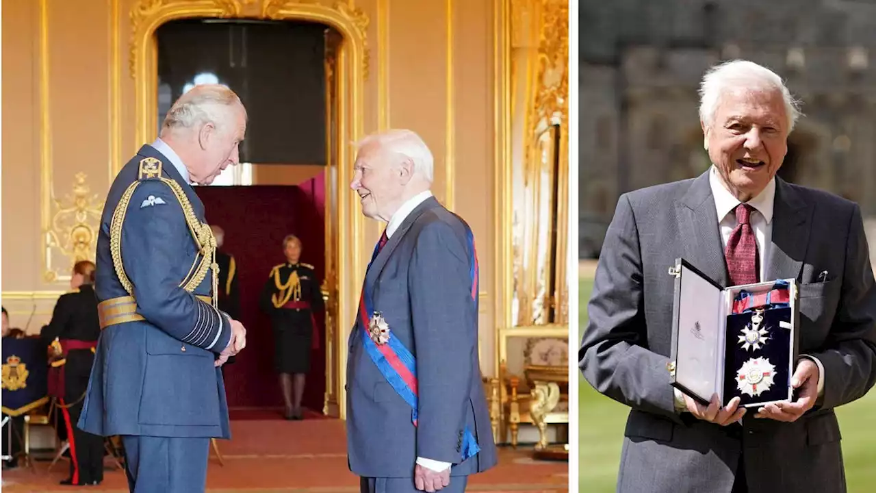 Sir David Attenborough receives second knighthood from Charles at Windsor