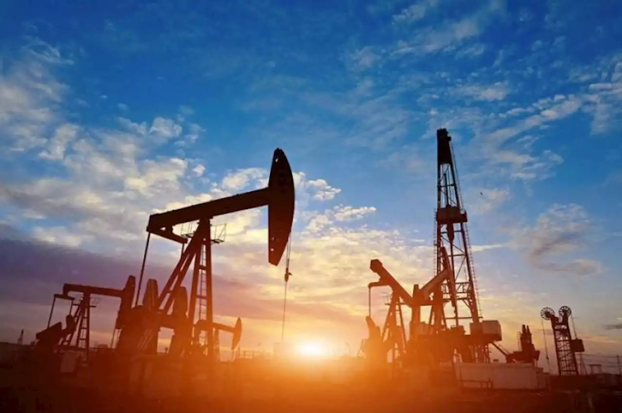 Oil import bill increases to $17b