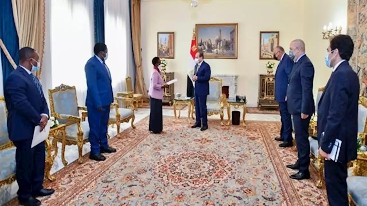 السيسي يشيد بقوة الدفع التي تشهدها العلاقات المصرية التنزانية