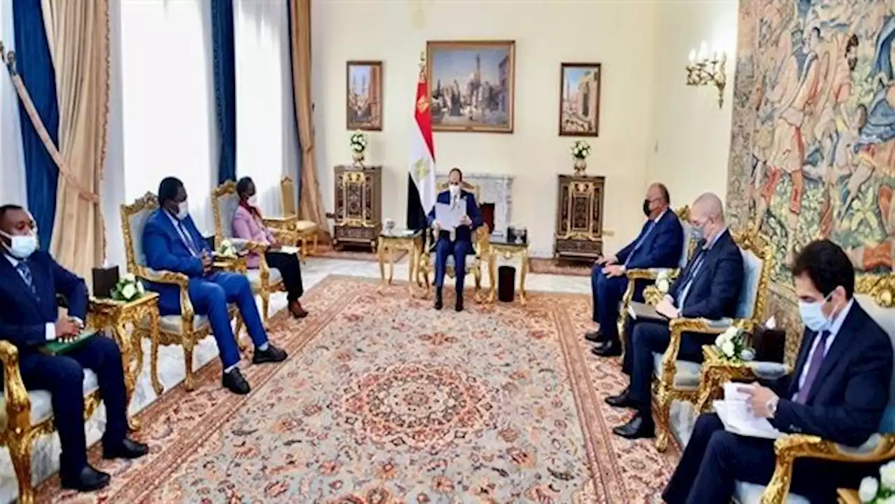 بالصور.. السيسي ووزيرة خارجية تنزانيا يبحثان قضايا سدي النهضة وجوليوس نيريري