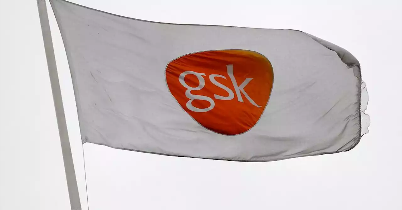 Breakingviews - GSK castoff starts life with target on its back