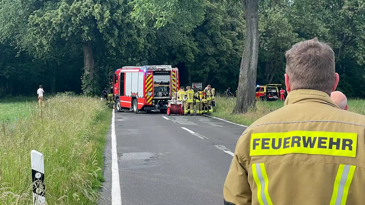 Auto prallt auf Landstraße gegen Baum – zwei Tote