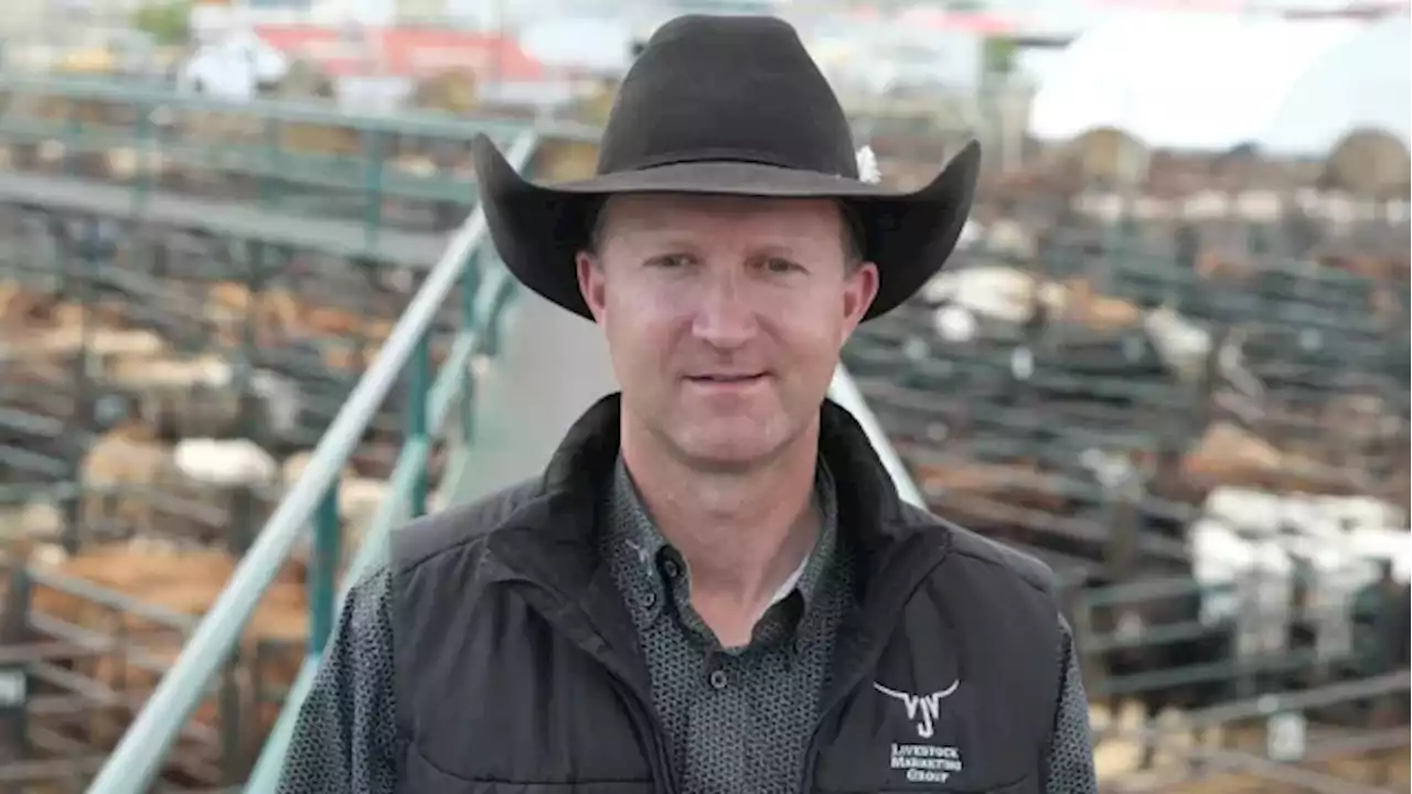 This Canadian is going for gold at the World Livestock Auctioneer Championship | CBC News