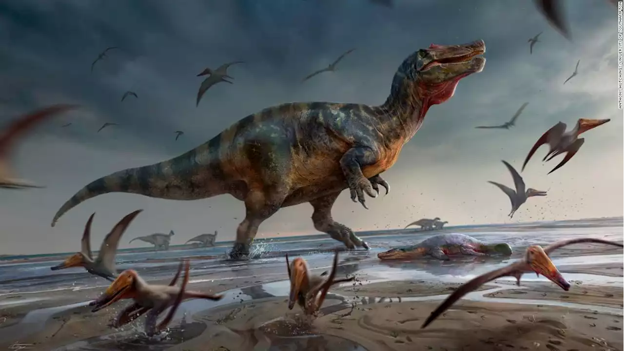 Scientists unearth remains of one of Europe's biggest predatory dinosaurs