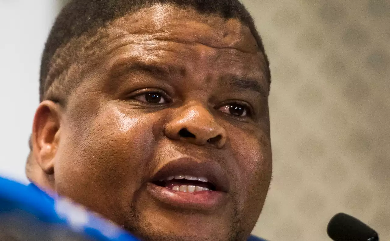 SPIES R US: Ex-Zuma ally Mahlobo calls for patience and backs Ramaphosa’s response amid Fraser’s farm-theft claims