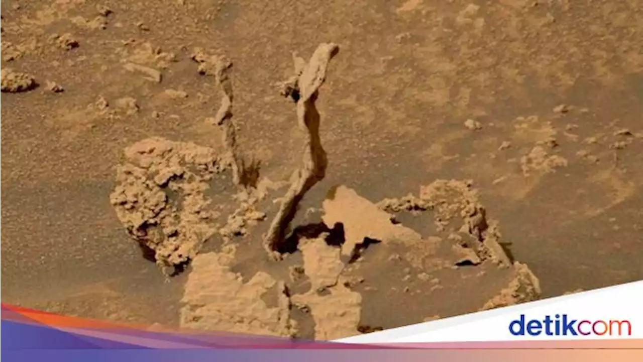 Ada Penampakan Mirip Cacing Pasir di Mars, Apa Itu?