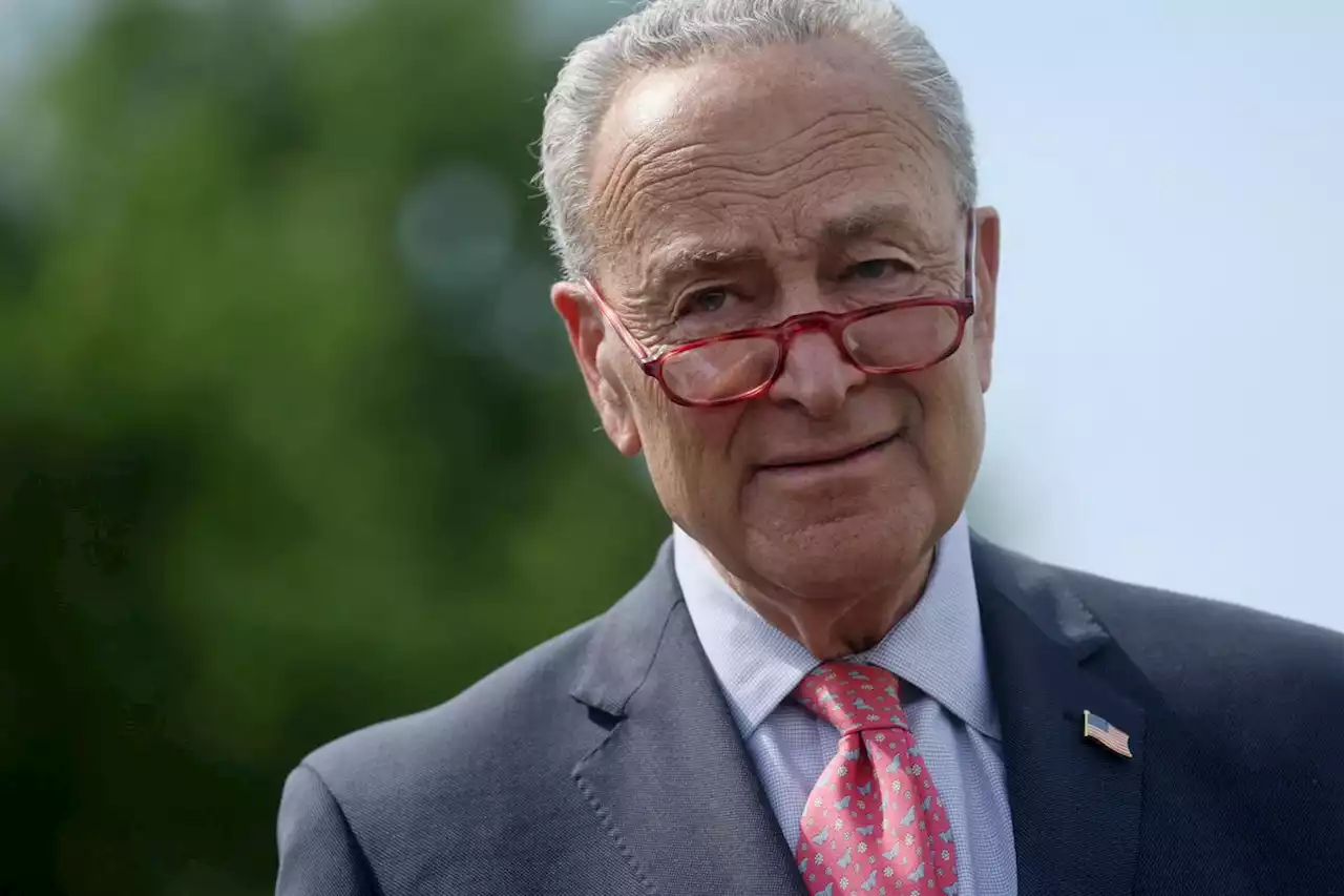 Schumer says ‘good progress’ made on gun legislation as talks move forward in U.S. Senate