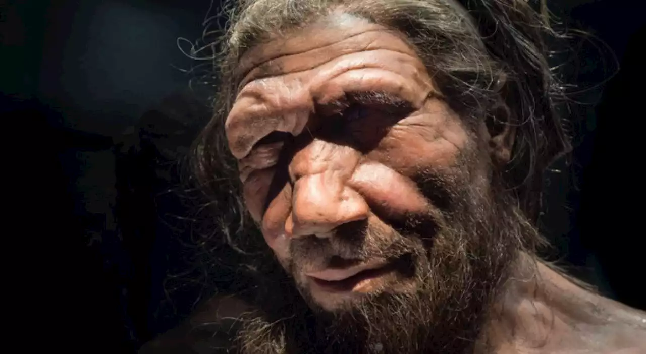 Covid, il gene che aumenta il rischio di mortalità «nato da un rapporto intimo fra un Neanderthal e un Sapiens»