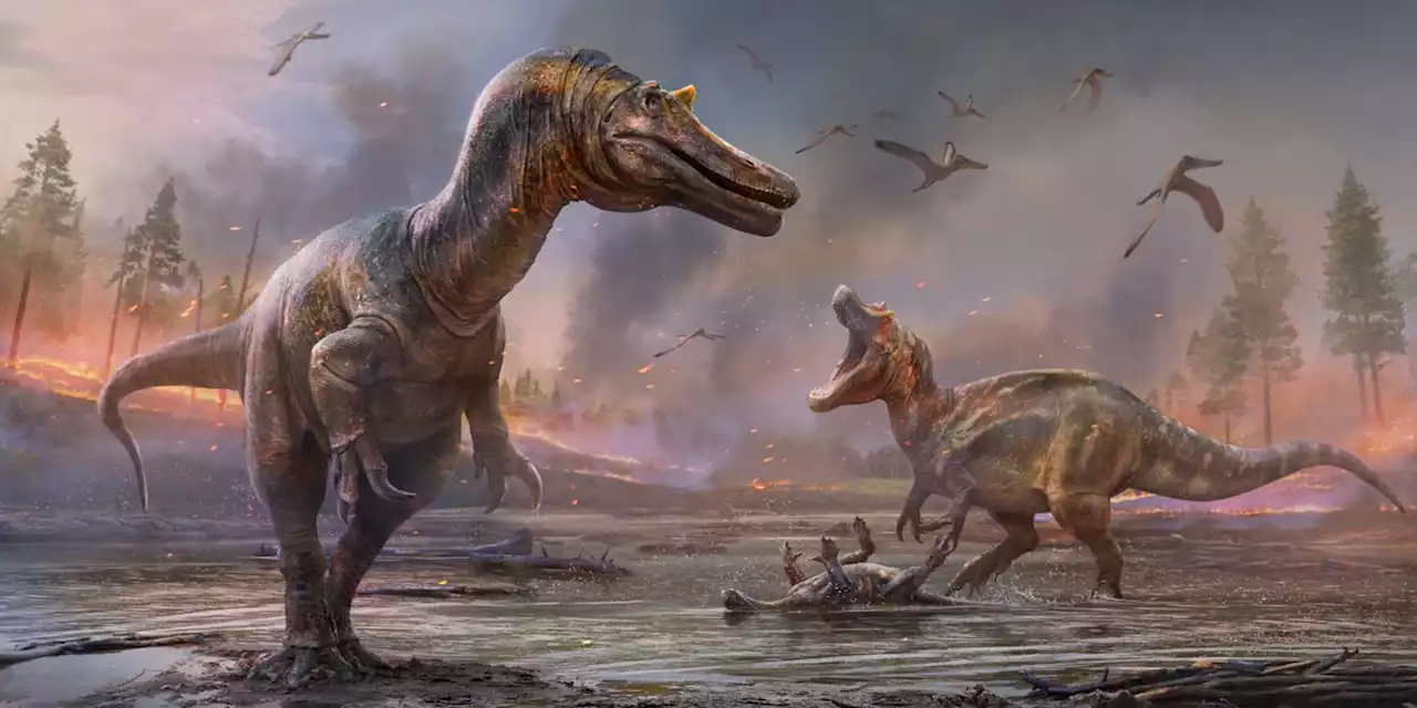 Newly discovered Dinosaur could be the 'largest land predator' ever