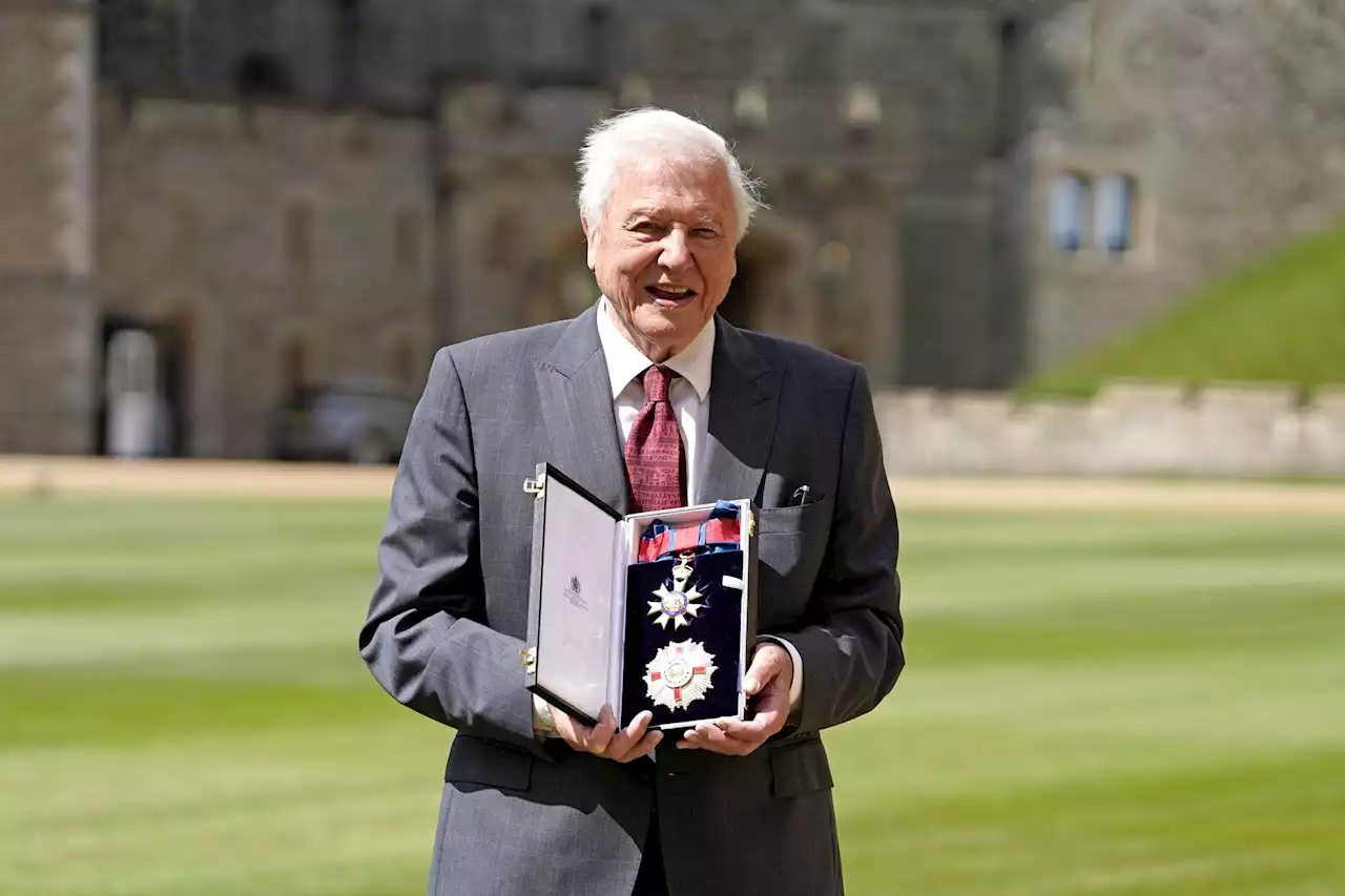 Sir David Attenborough beams as he collects high honour from Prince of Wales