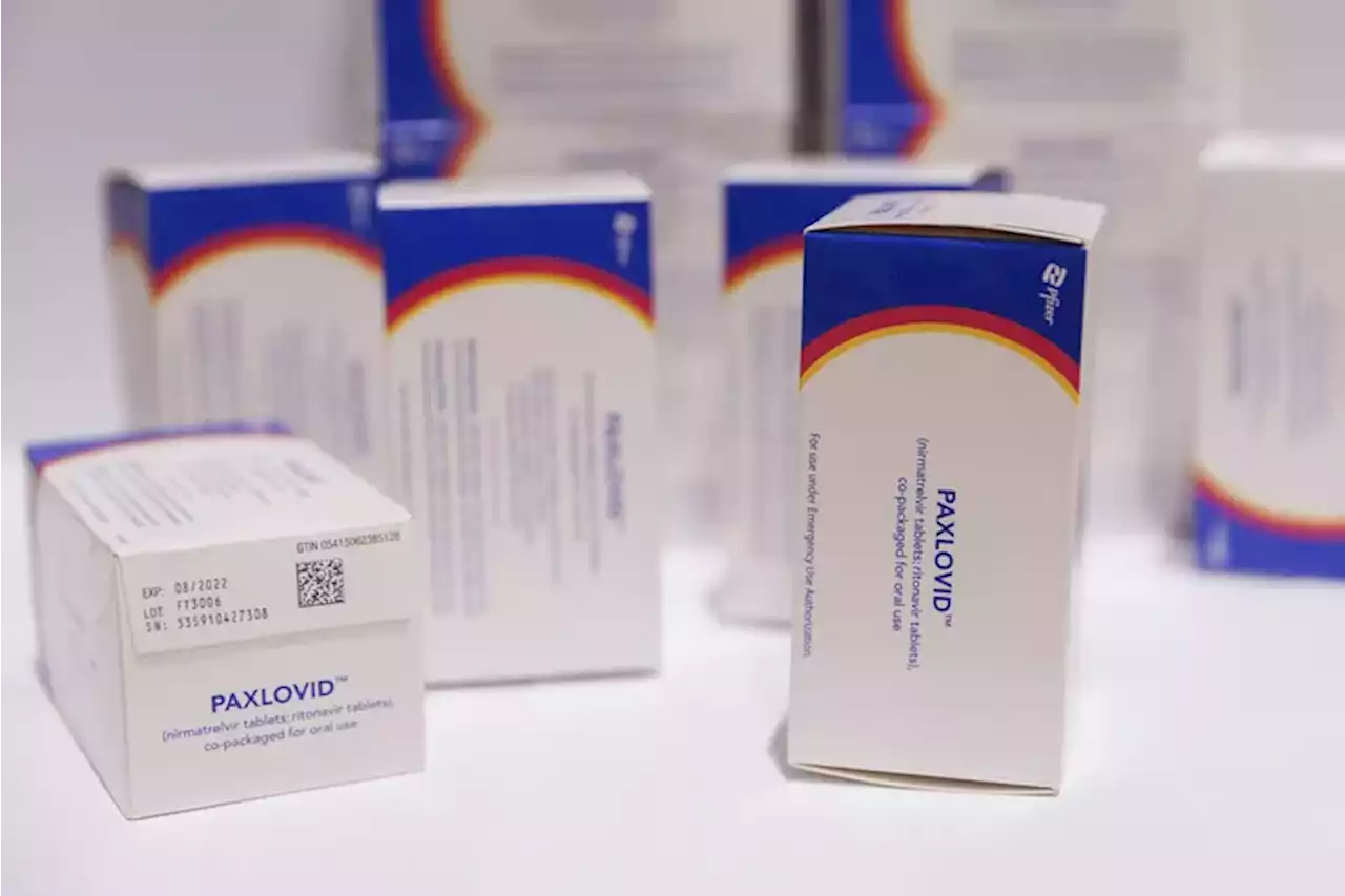 COVID can come back after Paxlovid treatments, but Philly doctors say the drug’s still valuable