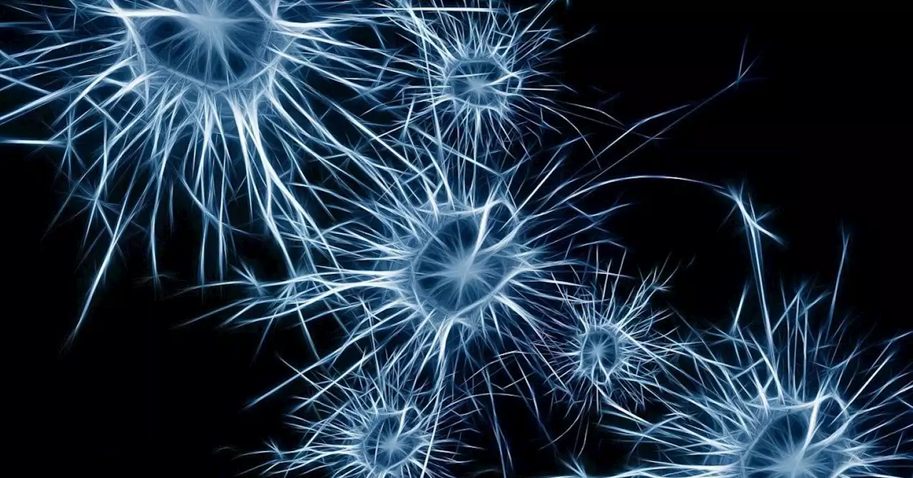 How Glial Cells Influence Your Mood