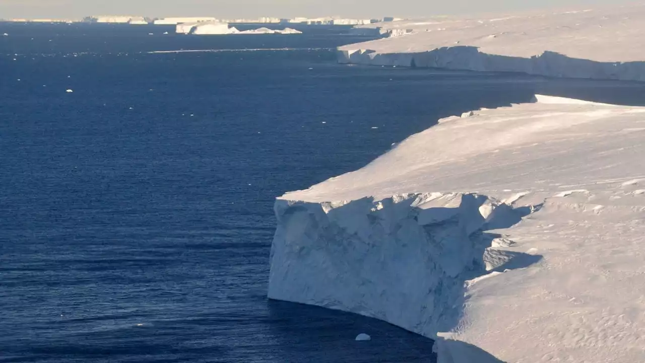 DNA techniques to piece together what oceans were like before industrial whaling