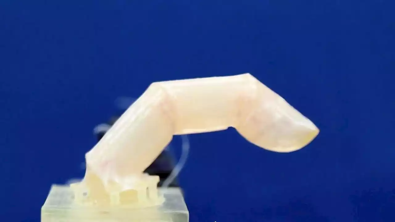 Scientists create living human skin for robots