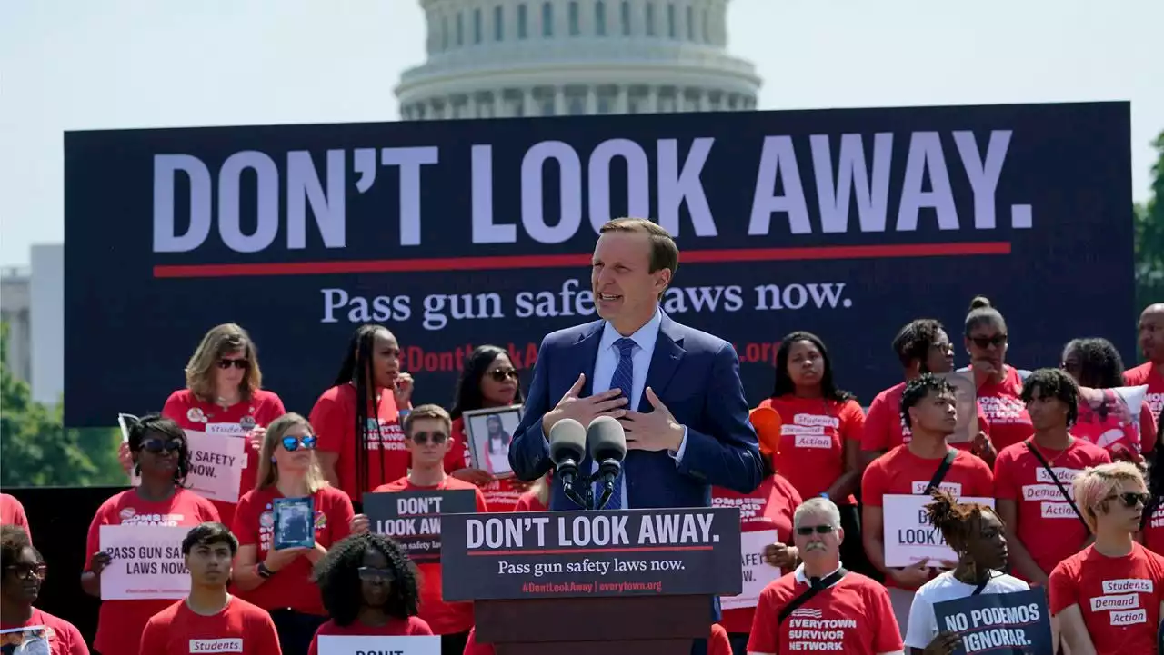 As survivors testify, gun reform advocates, lawmakers call for action