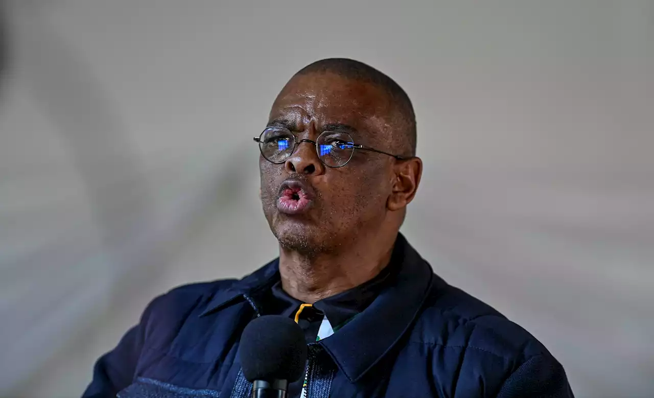 Magashule says Ramaphosa must face same treatment as he did, after Dollargate | The Citizen