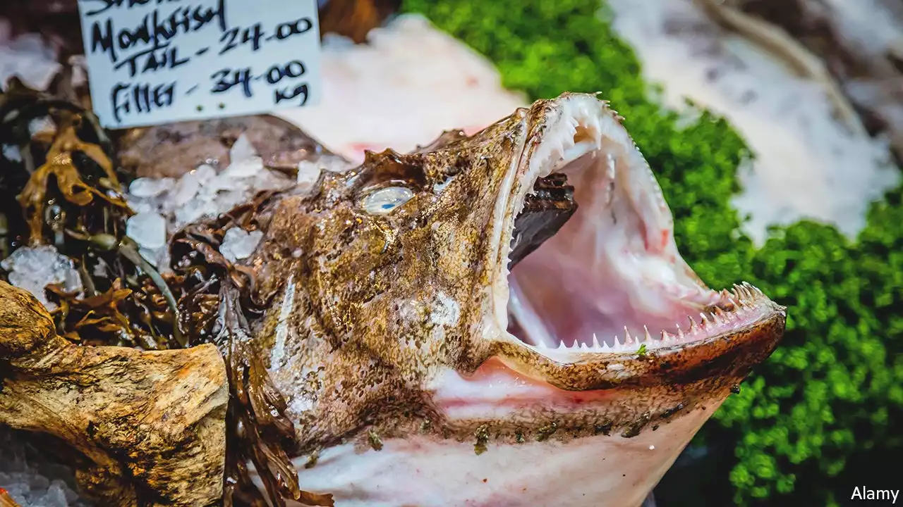 Why everyone should eat more ugly seafood